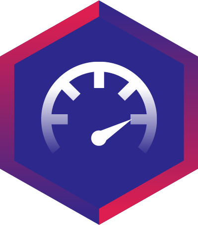 Icon 1