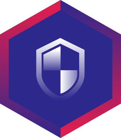 Icon 1